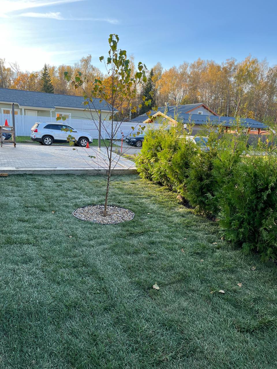 Посадка растений мини 4